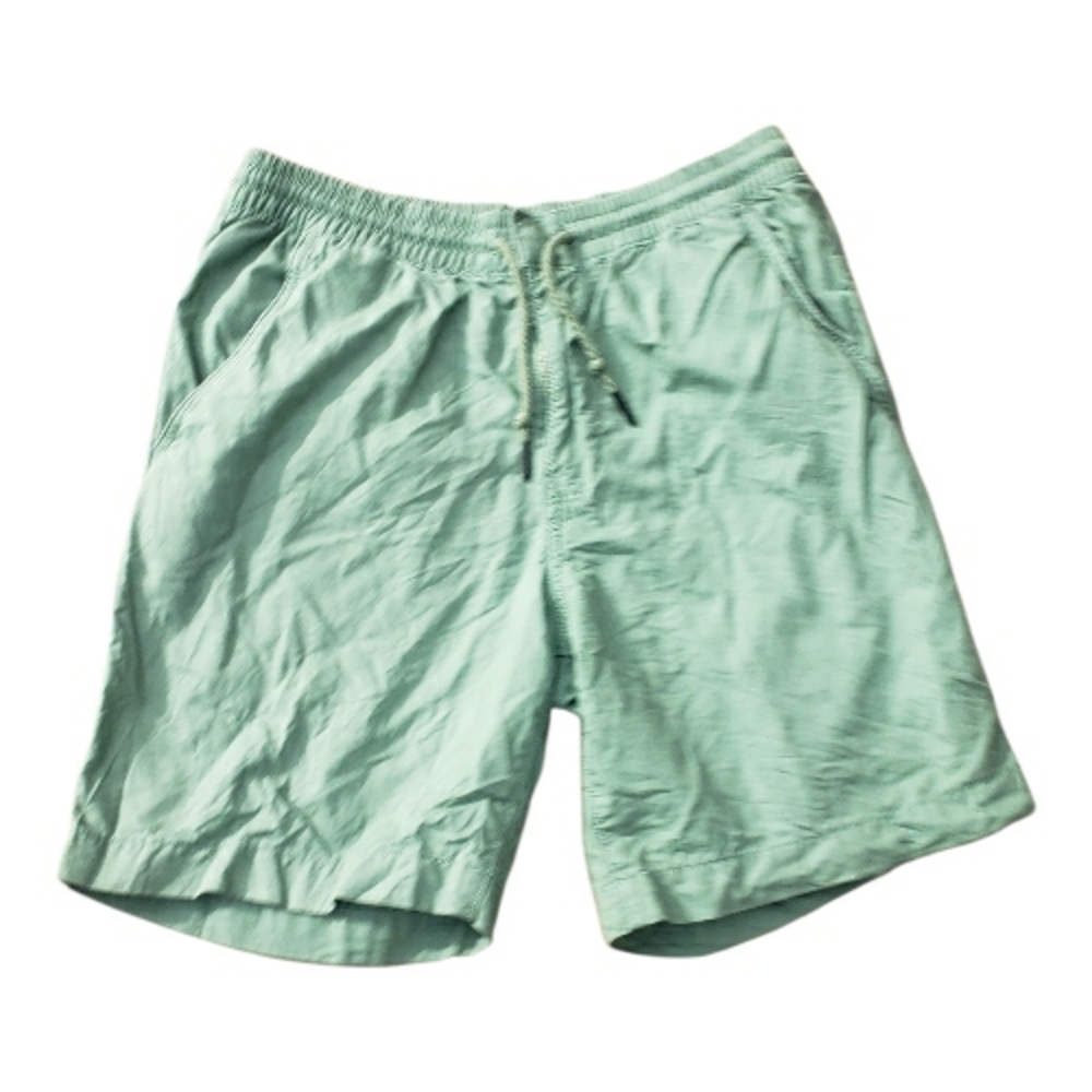 Patagonia Men's Light Green Swim Trunks